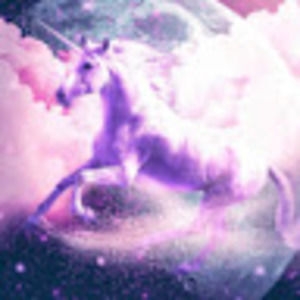 Meet your Posher, Sadie